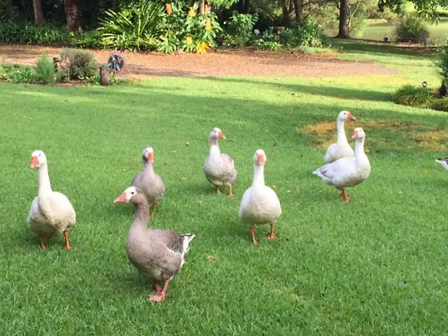 Guest house Maleny Lake Cottages Australia