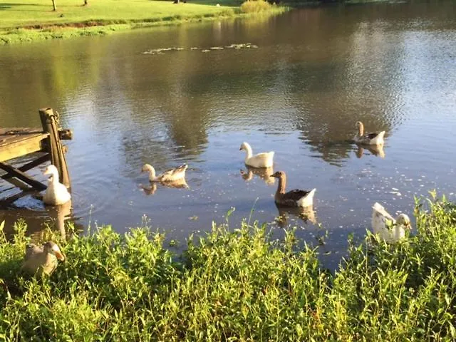 Maleny Lake Cottages